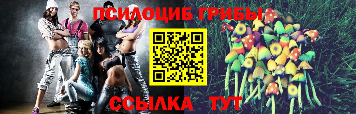 Кимры  Псилоцибиновые грибы Cubensis  Вход с VPN 