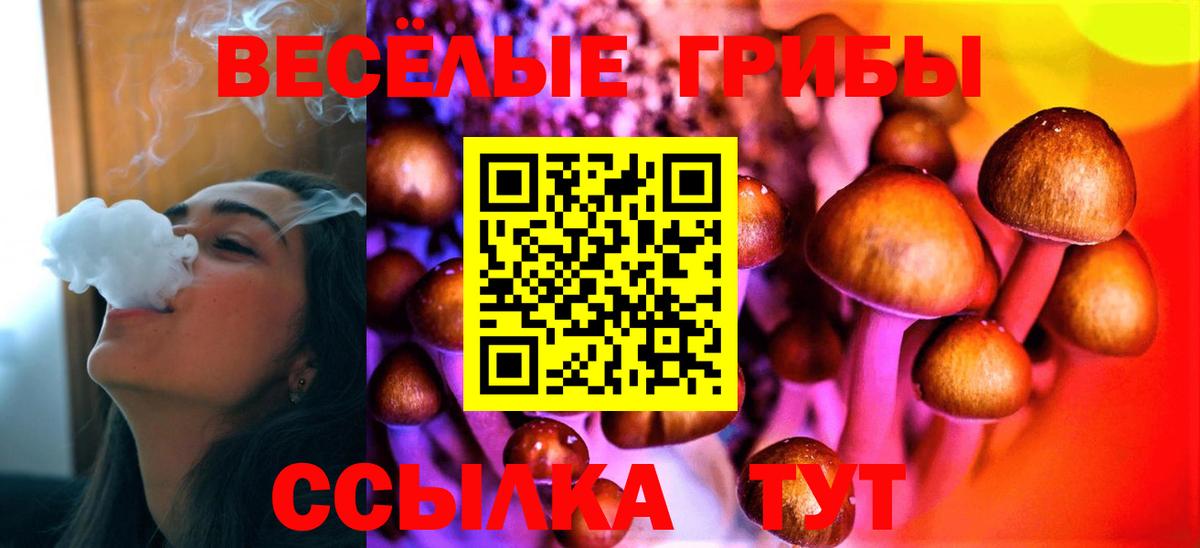 Псилоцибиновые грибы Cubensis Кимры